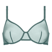 Menthe givr&eacute;e
