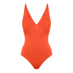 Rooibos