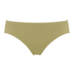 Alligator