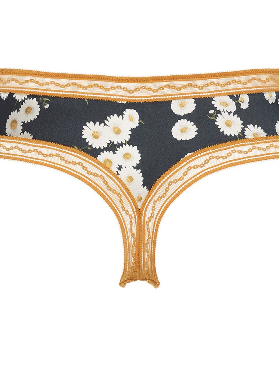 &Eacute;ternel Tanga Vista est&aacute;ndar NaN