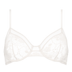 Lys