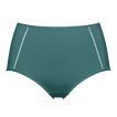 Menthe givr&eacute;e
