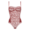 Arbousier