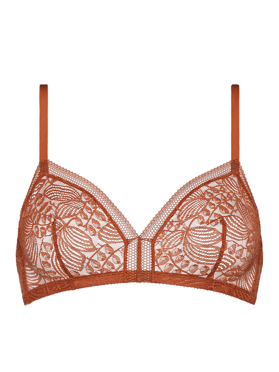 D&eacute;licieux Triangle bra standard view NaN