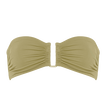 Alligator