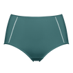Menthe givr&eacute;e