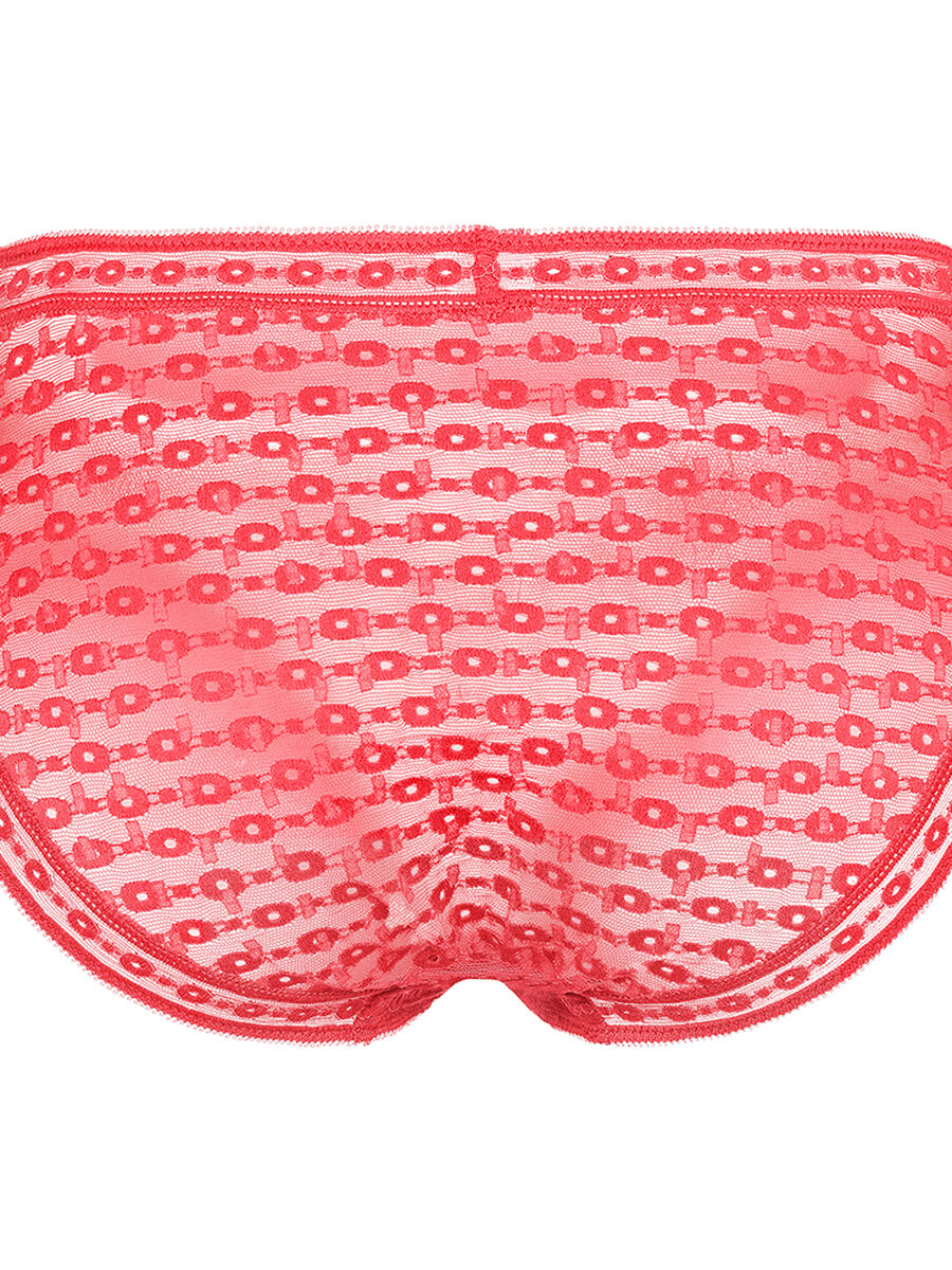 Elixir Culotte vue standard NaN