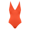Rooibos