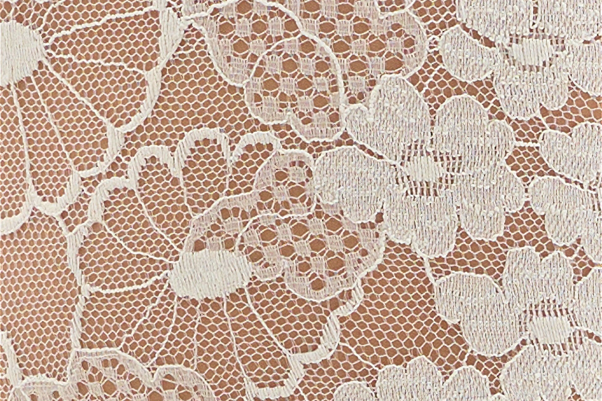 Hortensia Body Vista estándar NaN