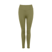 Salicorne