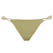 Alligator