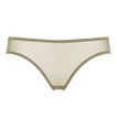 Salicorne