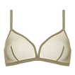 Salicorne