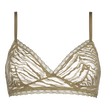 Salicorne