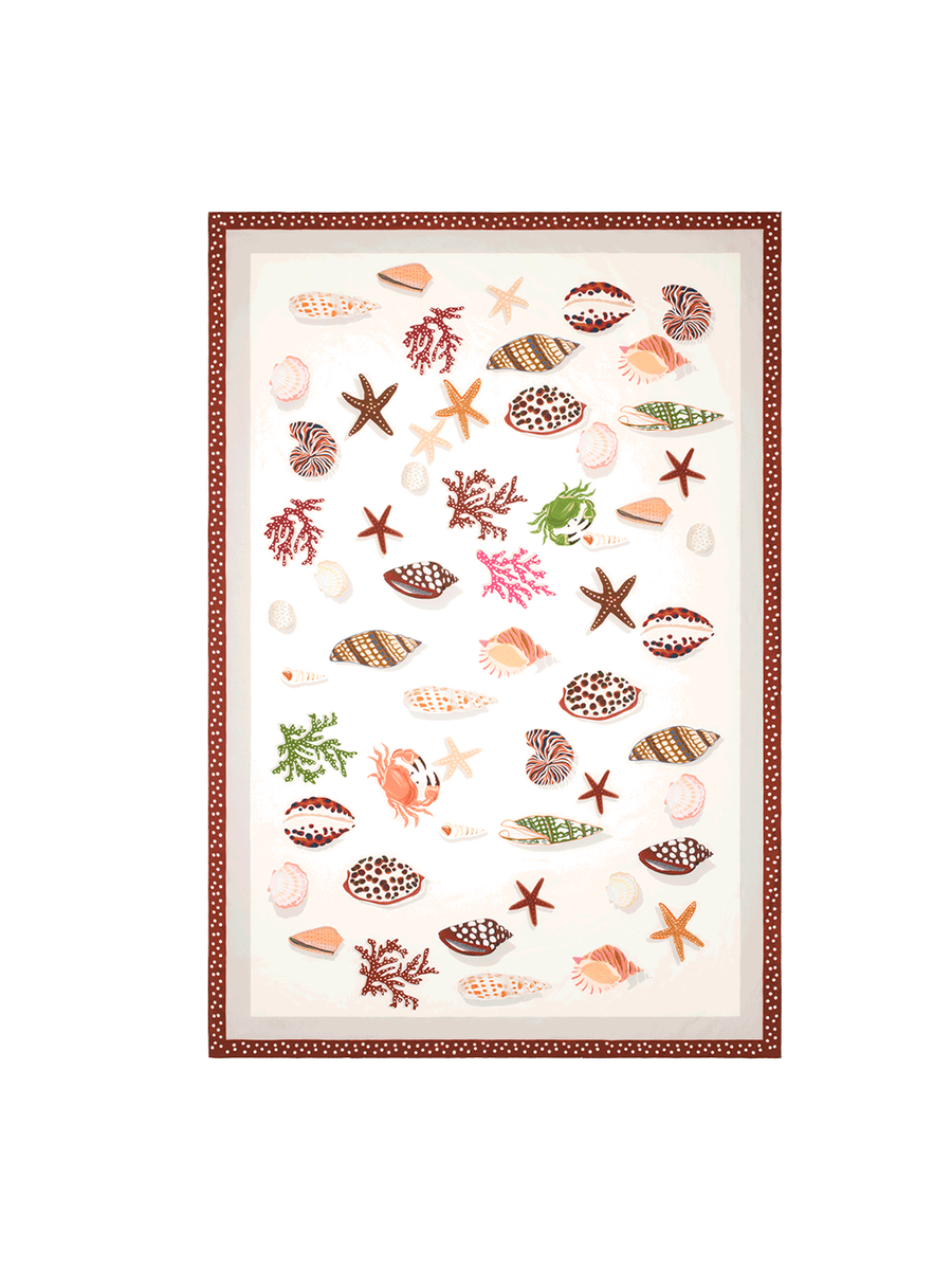 Latte Pareo standard vista NaN