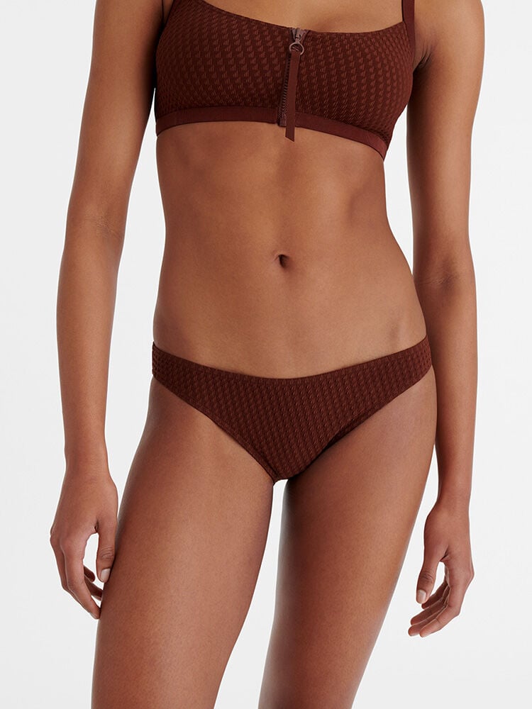 Trends-Tortue