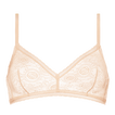 &Eacute;cume Rose