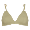 Alligator