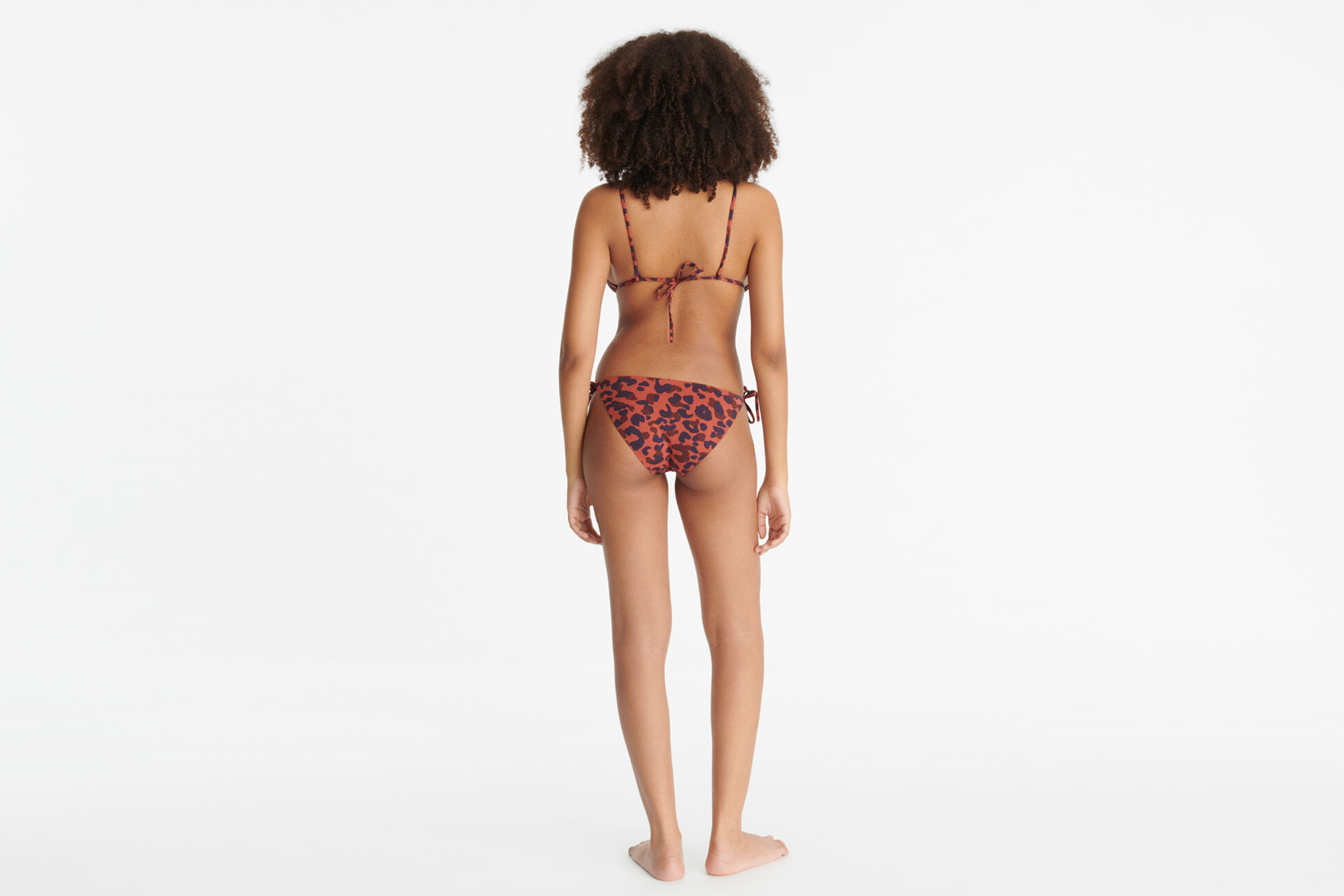 Cyprae Small triangle standard view �