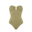 Alligator