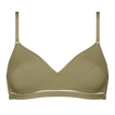 Salicorne