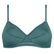 Menthe givr&eacute;e
