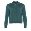 Menthe givr&eacute;e