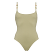Alligator