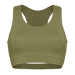 Salicorne