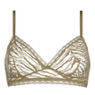 Salicorne
