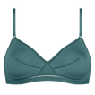 Menthe givr&eacute;e