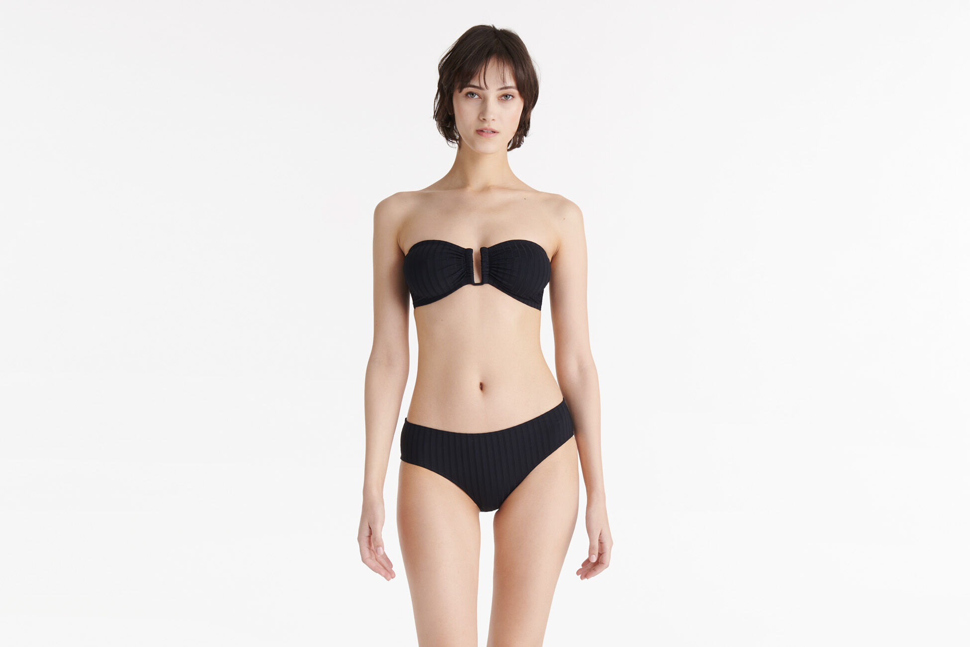 Terra Brief standard view �