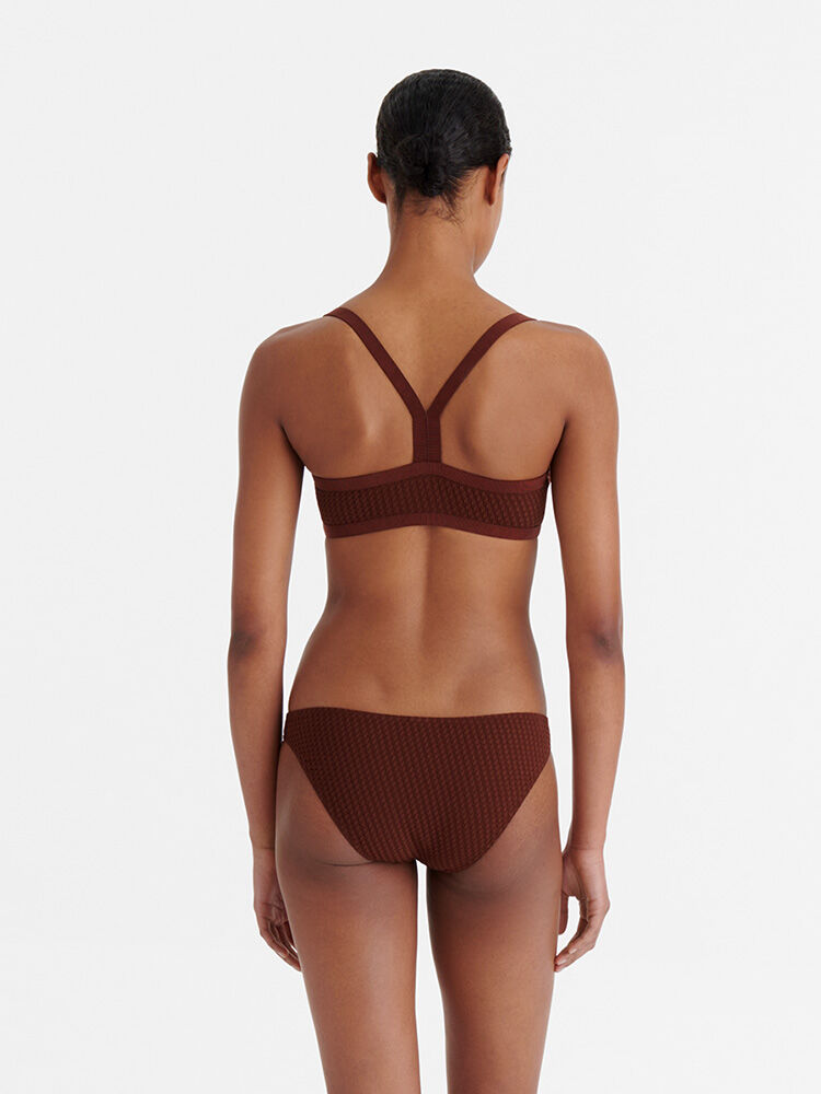 Trends-TORTUE