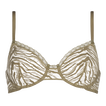 Salicorne