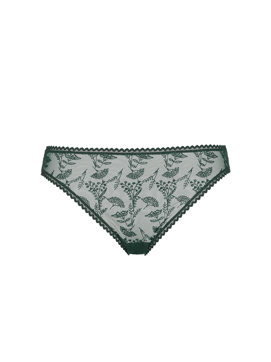 Bl&eacute; Briefs standard view �