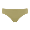 Alligator