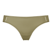 Salicorne