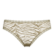 Salicorne