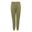 Salicorne