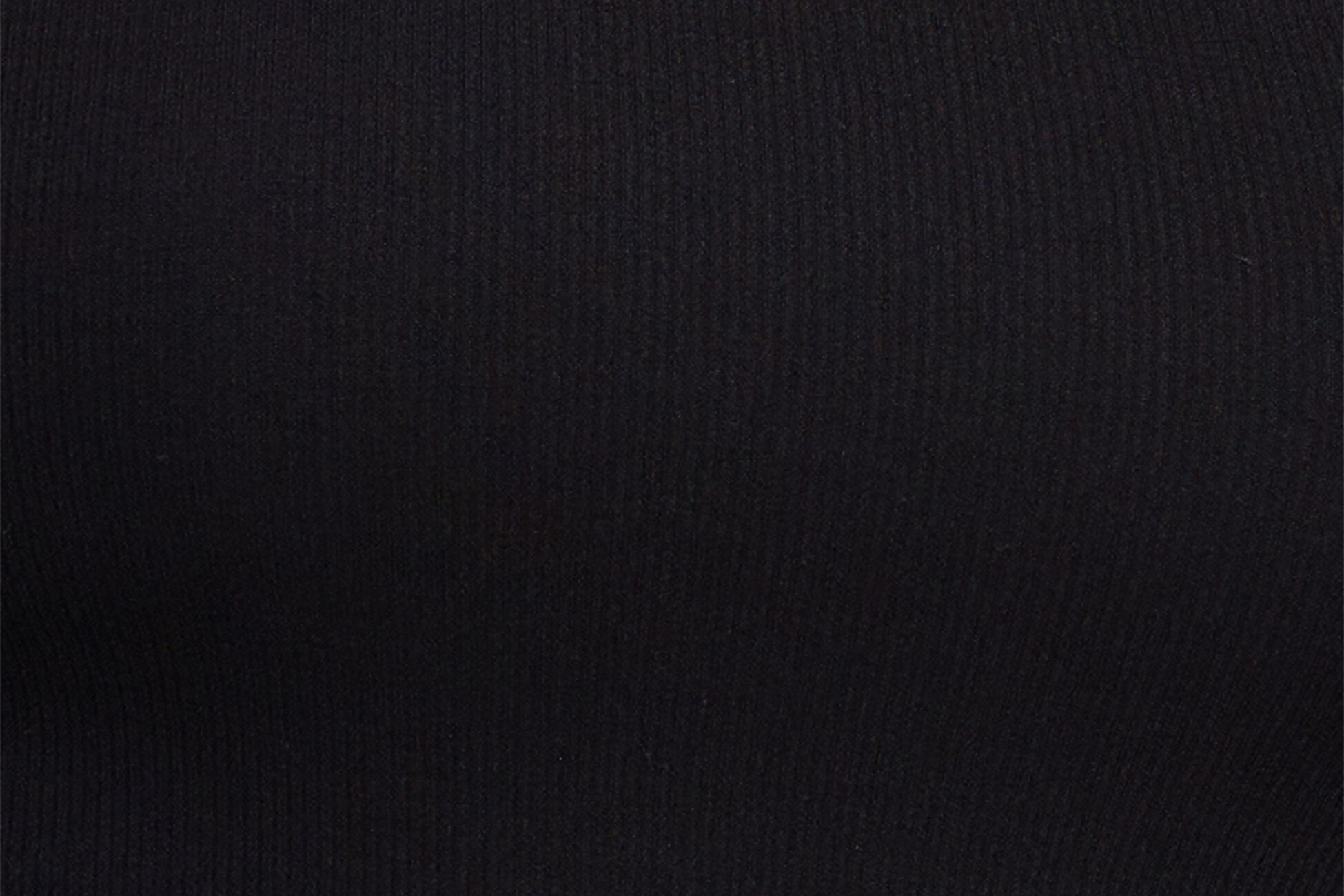 Lottie Camiseta de manga larga Vista estándar NaN