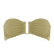 Alligator