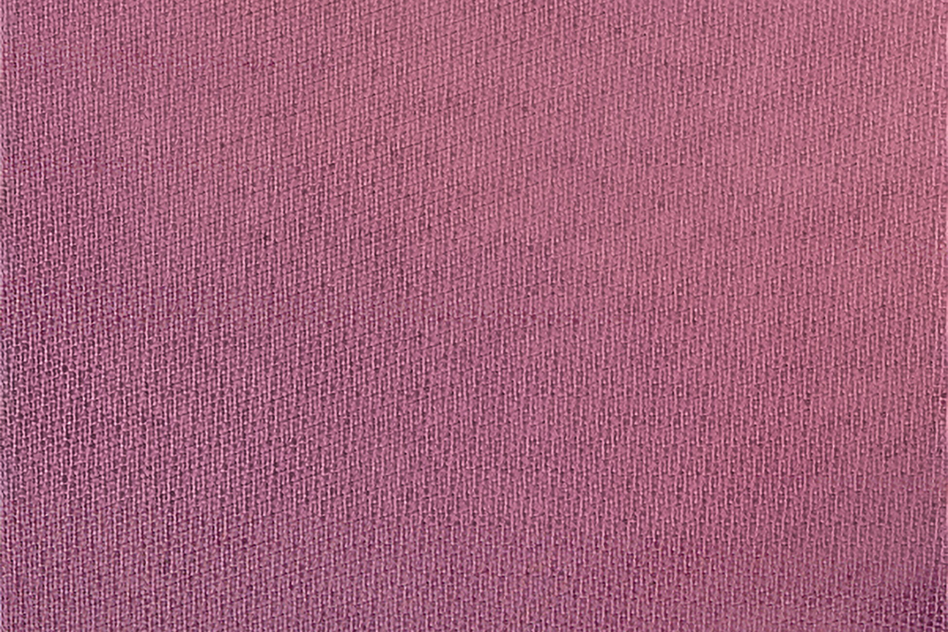 Providence toni Triangle bra standard view NaN