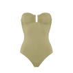 Alligator
