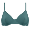 Menthe givr&eacute;e