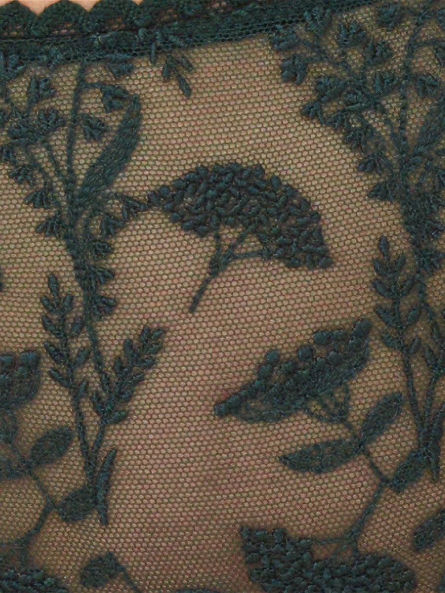 Seigle Tanga Vista est&aacute;ndar NaN