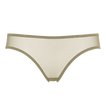 Salicorne