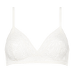 Lys