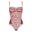 Arbousier