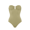 Alligator
