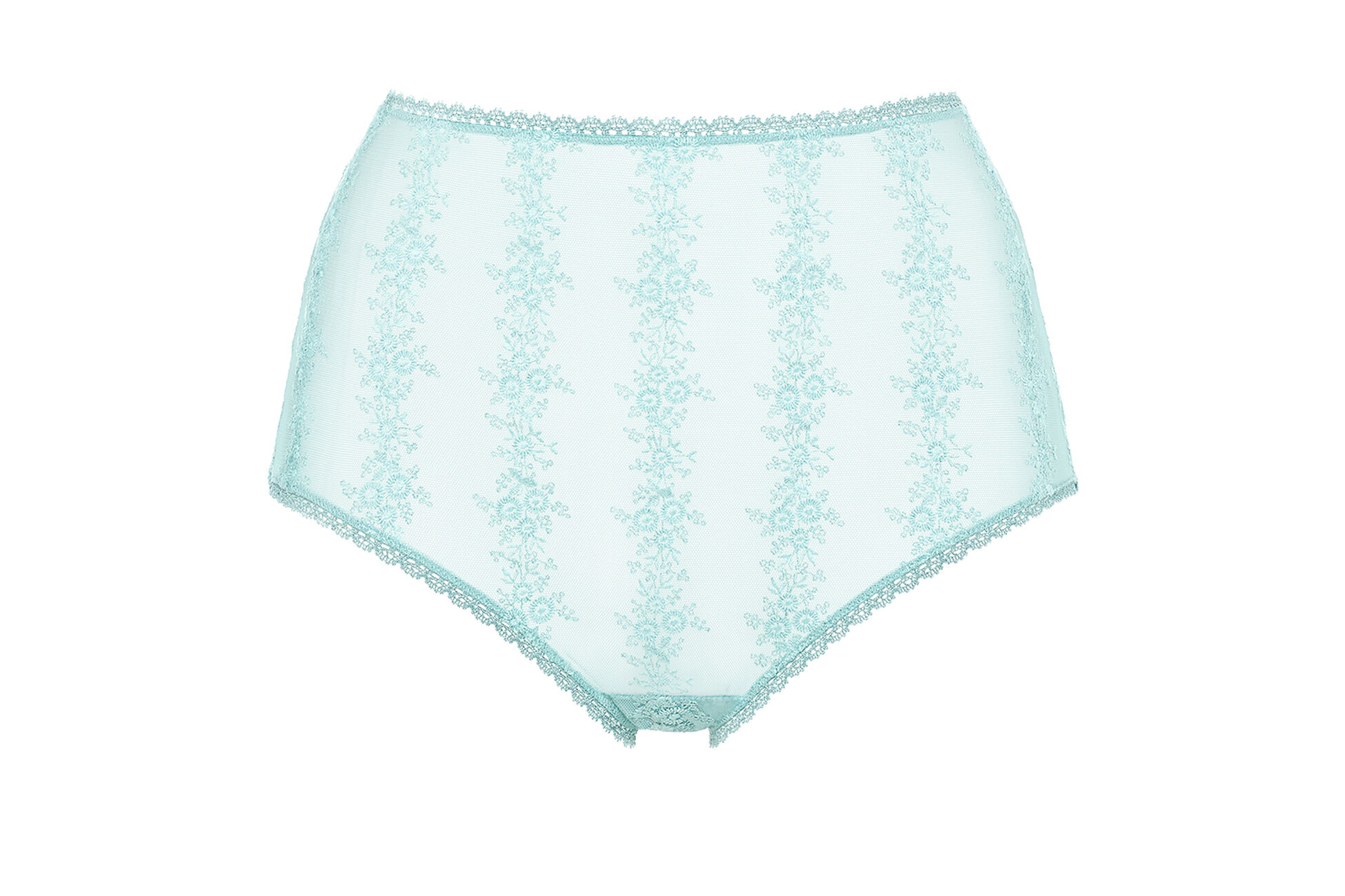Naive High-waisted briefs standard view �